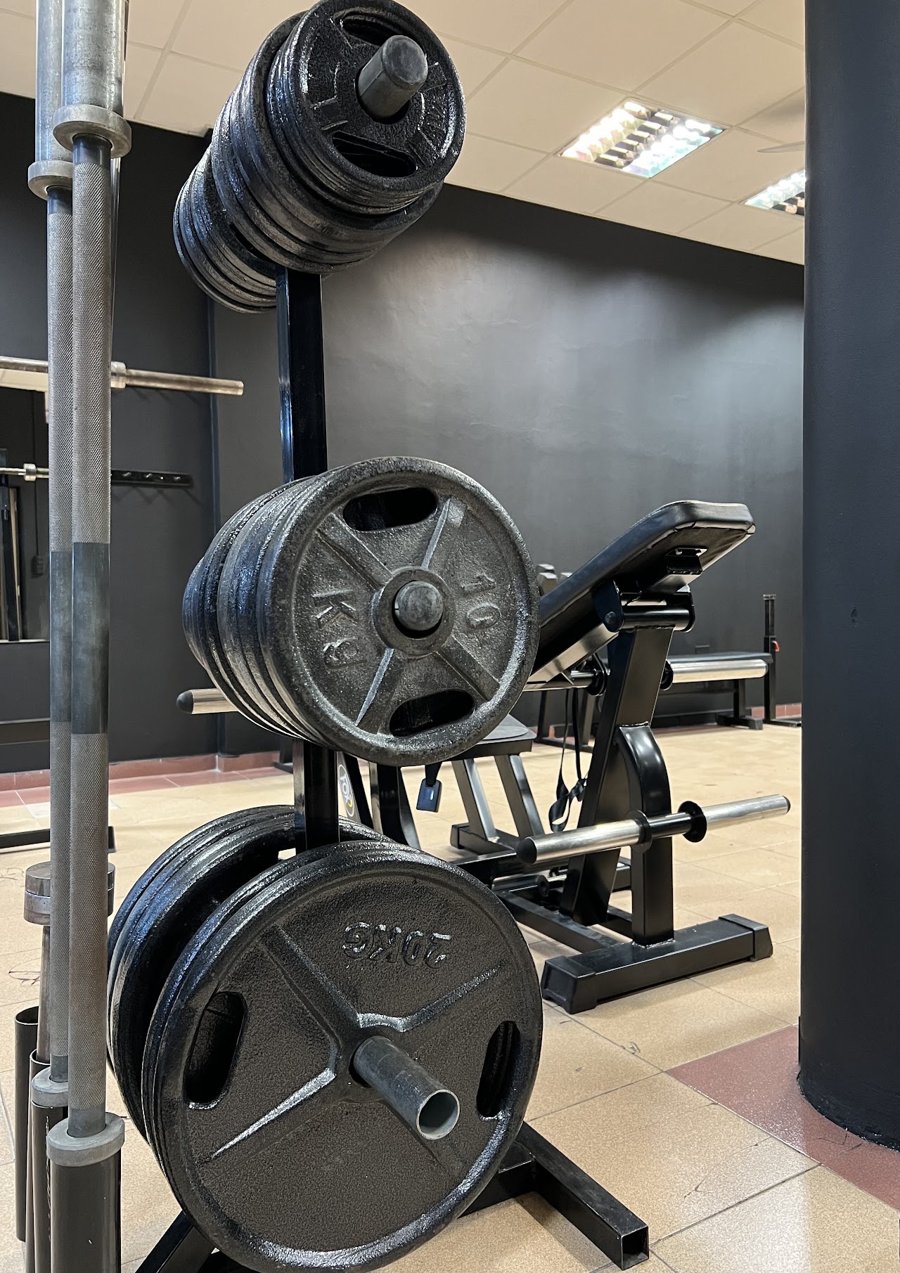 Sector de Entrenamiento Funcional y Pista de Césped